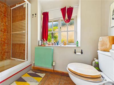 Picture 8
